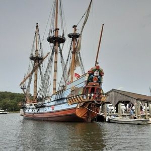 Meet your Posher, Eva